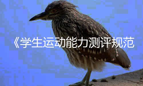 《学生运动能力测评规范》国家标准如何重塑体育课？