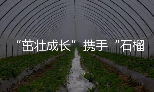 “茁壮成长”携手“石榴籽”一起做公益 上好体育课，讲好普通话