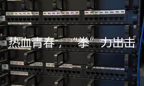 热血青春，“拳”力出击 江泰天宇功夫集市青少年搏击擂台赛圆满落幕