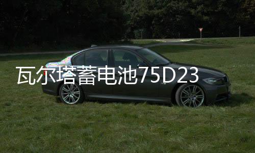 瓦尔塔蓄电池75D23L/65AH/550A/奇骏天籁/翼神雅阁森林人汽车电瓶