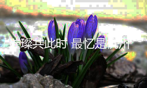 璀璨共此时 最忆是杭州——杭州亚运会闭幕式侧记