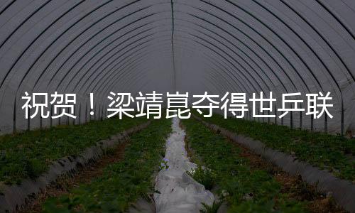 祝贺！梁靖崑夺得世乒联冠军赛韩国站男单冠军