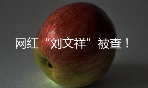 网红“刘文祥”被查！