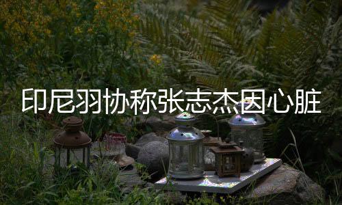 印尼羽协称张志杰因心脏骤停离世 家属已赴印尼