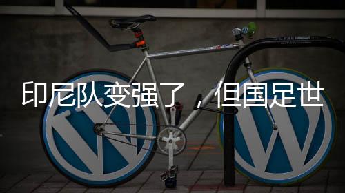 印尼队变强了，但国足世预赛有机会——专访北京国安荷兰籍外教杰森