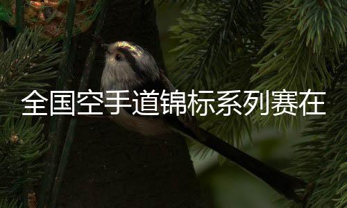 全国空手道锦标系列赛在杭开幕 亚运冠军亮相赛场
