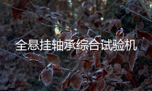 全悬挂轴承综合试验机