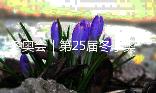 冬奥会|第25届冬季奥林匹克运动会在意大利维罗纳闭幕