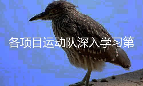 各项目运动队深入学习第三十三届奥运会中国体育代表团报告会