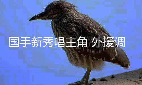 国手新秀唱主角 外援调整精彩不减——新赛季中国女排超等联赛亮点纷呈
