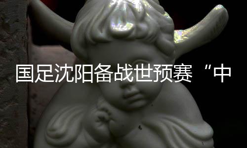 国足沈阳备战世预赛“中泰之战” 伊帅:伤病不是前进路上的“绊脚石”