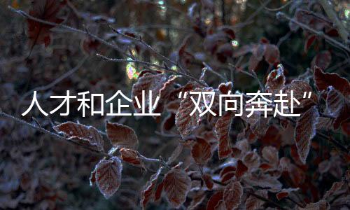 人才和企业“双向奔赴”！全国青年职业技能大赛学生组决赛闭幕