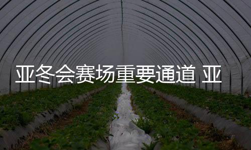 亚冬会赛场重要通道 亚雪公路改扩建工程提前通车