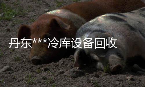 老人助听器哪个牌子好