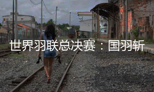 世界羽联总决赛：国羽斩获三冠 石宇奇横扫安东森