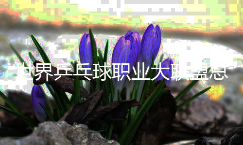 世界乒乓球职业大联盟总决赛2025将于12月在香港举行