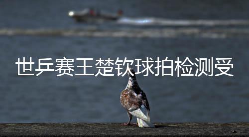 世乒赛王楚钦球拍检测受损 国际乒联回应彻查该事件