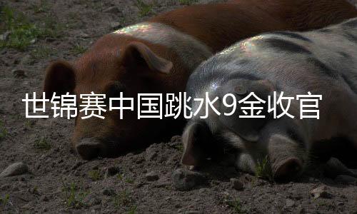 世锦赛中国跳水9金收官 奥运项目接连丢冠敲警钟