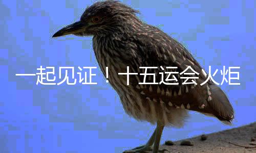 一起见证！十五运会火炬传递启动仪式在深圳举行