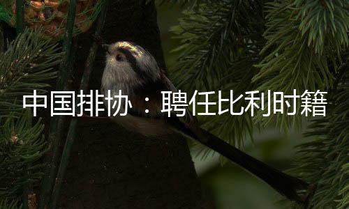 中国排协：聘任比利时籍教练维塔尔·海宁为中国男排主教练