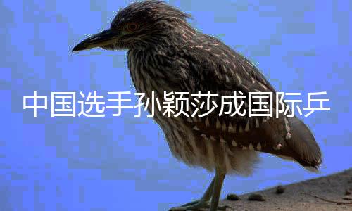 中国选手孙颖莎成国际乒联现行世界排名积分破万第一人