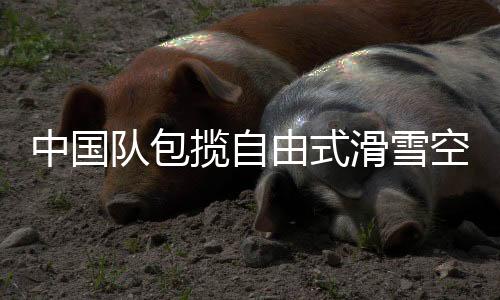 中国队包揽自由式滑雪空中技巧世界杯云顶站混合团体金银牌
