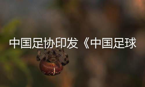 中国足协印发《中国足球协会诚信专员管理办法（试行）》