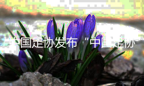 中国足协发布“中国足协球员自荐系统” 自荐、选拔如何进行？