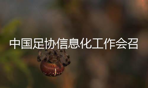中国足协信息化工作会召开 努力实现“全国一盘棋”治理