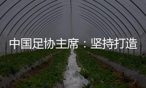 中国足协主席：坚持打造亚洲一流联赛和百年俱乐部