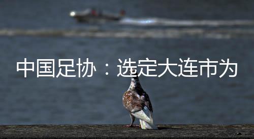 中国足协：选定大连市为中国队世预赛9月份主场承办城市