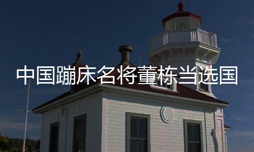 中国蹦床名将董栋当选国际体操联合会运动员委员会委员
