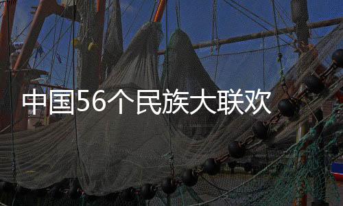 中国56个民族大联欢 台湾少数民族代表团及港澳代表团受关注