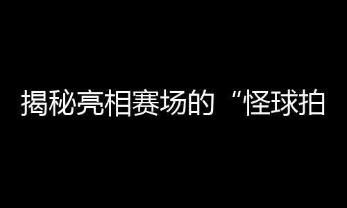 揭秘亮相赛场的“怪球拍”：瑞典选手的球拍为何是六边形？