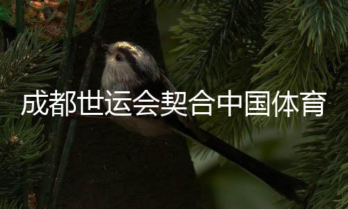 成都世运会契合中国体育时代之需 用多样、多元诠释运动无限可能