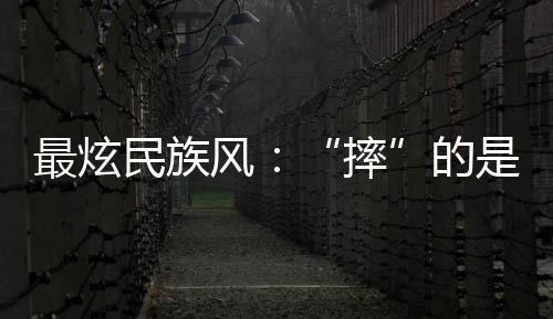 最炫民族风：“摔”的是力量与技巧，“跤”的是朋友