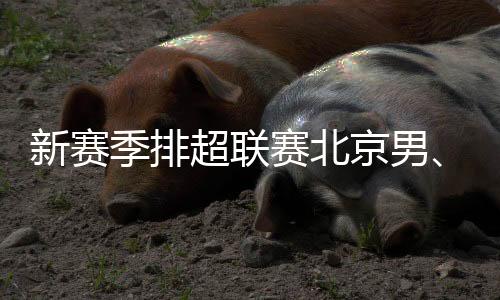 新赛季排超联赛北京男、女排回归主场光彩体育馆