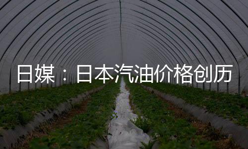 日媒：日本汽油价格创历史新高，已连续5周上涨