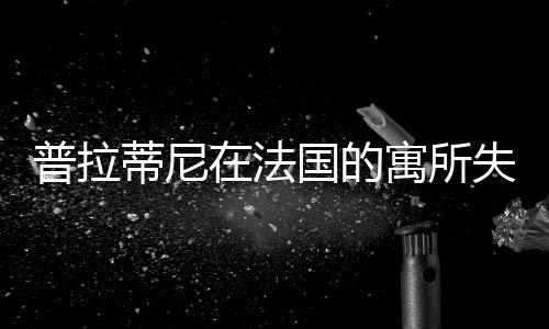 普拉蒂尼在法国的寓所失窃 其奖杯和奖牌被盗