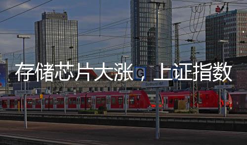 存储芯片大涨,上证指数“金针探底”,高手怎么看?