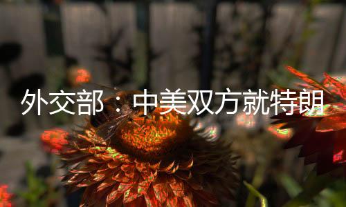 外交部：中美双方就特朗普总统访华事保持着沟通