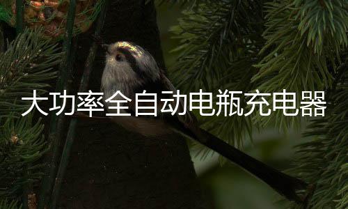 大功率全自动电瓶充电器12V24伏智能修复维护汽车起停蓄电池脉冲