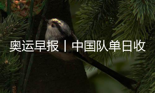 奥运早报丨中国队单日收1金1银1铜 14岁小将创历史