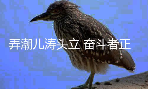弄潮儿涛头立 奋斗者正青春——2023年竞技体育关键词