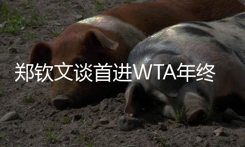 郑钦文谈首进WTA年终总决赛：先把身体与精神恢复到最佳状态