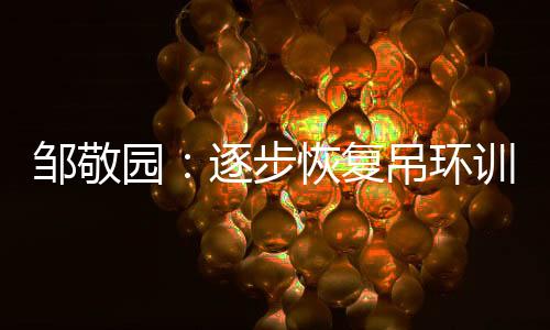 邹敬园：逐步恢复吊环训练，期待世锦赛有好的表现