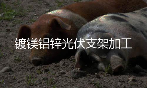 隐藏轨机械手模具订制