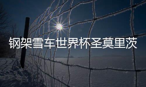 钢架雪车世界杯圣莫里茨站：赵丹/殷正夺得混合团体冠军