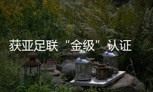 获亚足联“金级”认证 中国草根足球的欣喜与期待