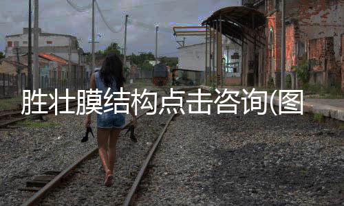 史托斯软镜维修换钢丝
